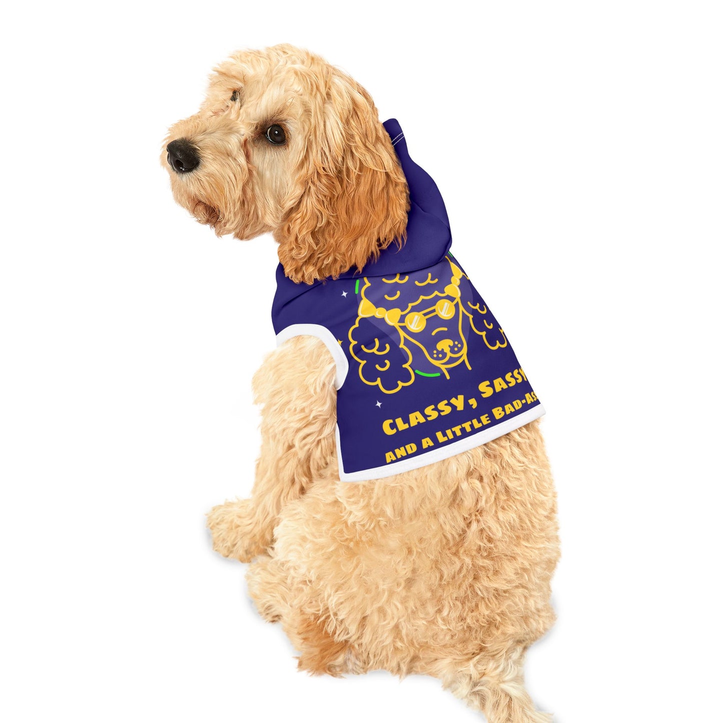 Sassy, Classy, and a Little Bad Assy Dog Hoodie – Stylish Pet Apparel