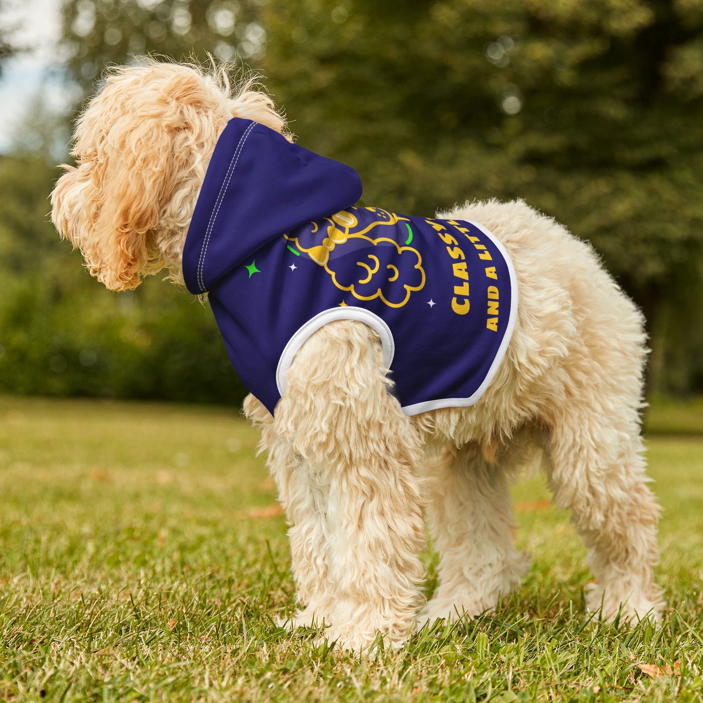 Sassy, Classy, and a Little Bad Assy Dog Hoodie – Stylish Pet Apparel