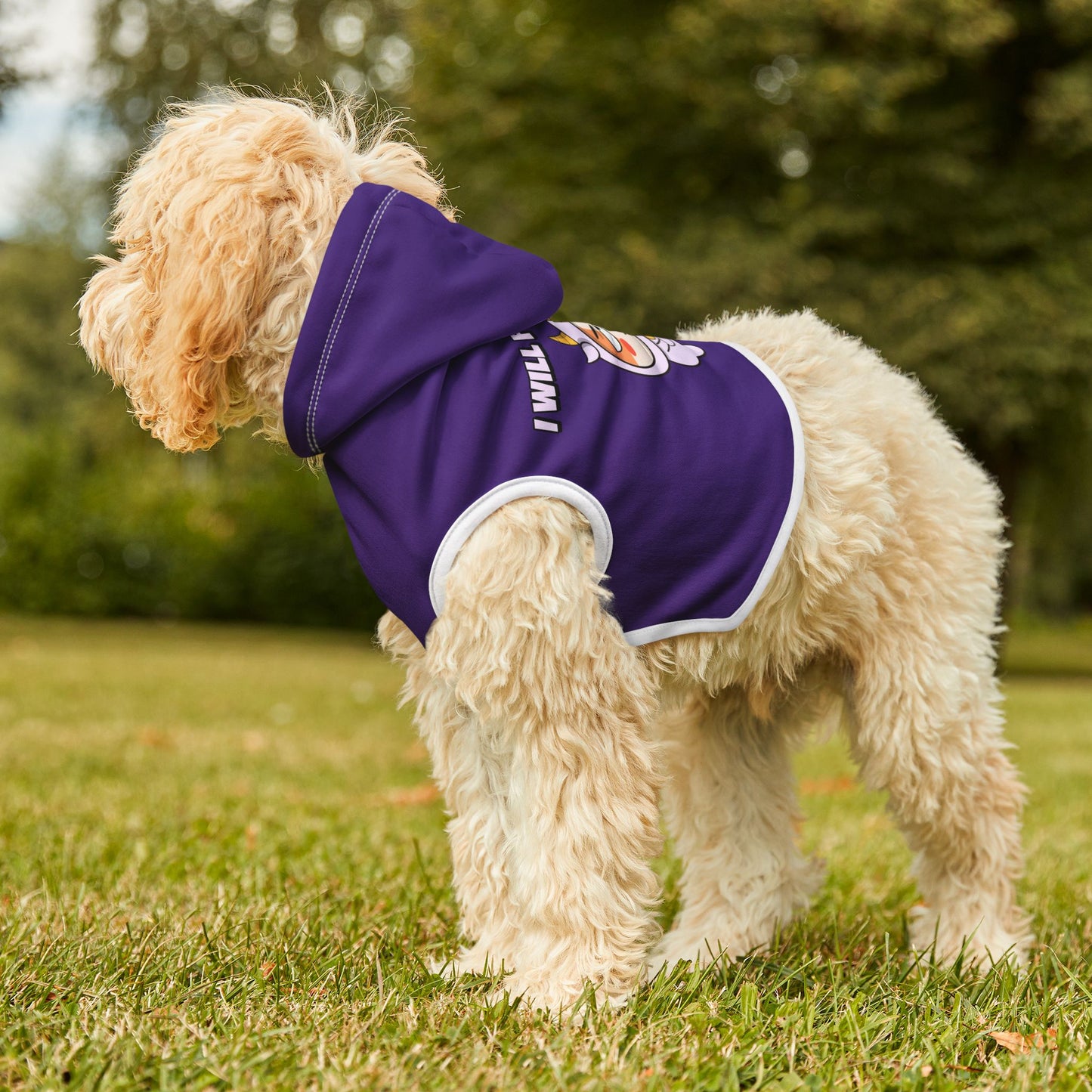 I will Fight You Dad Joke Pet Hoodie