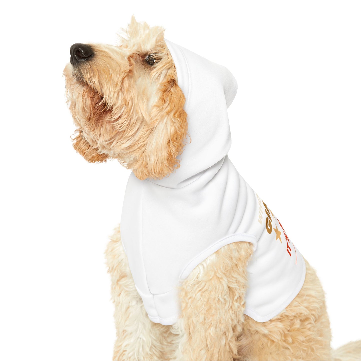 Who’s a Good Girl Dog Hoodie – Funny and Cozy Pet Apparel