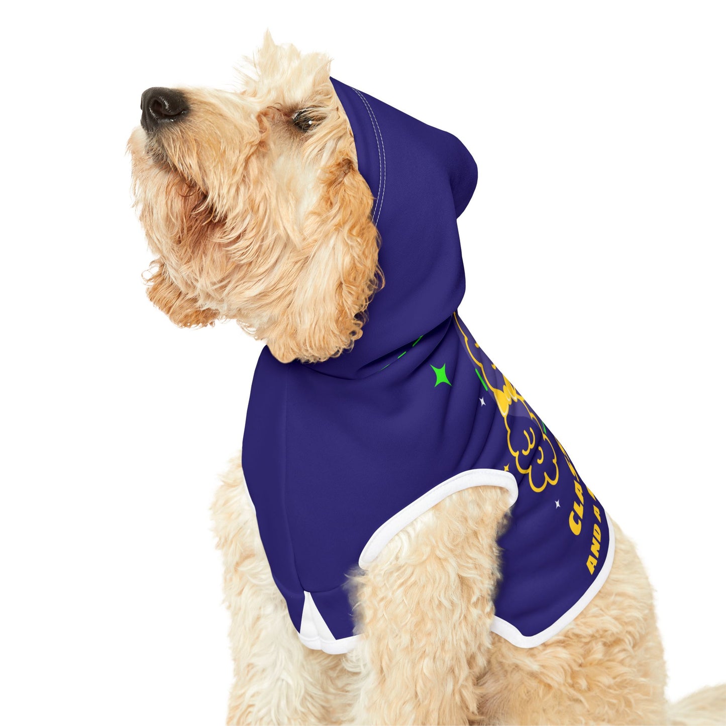 Sassy, Classy, and a Little Bad Assy Dog Hoodie – Stylish Pet Apparel