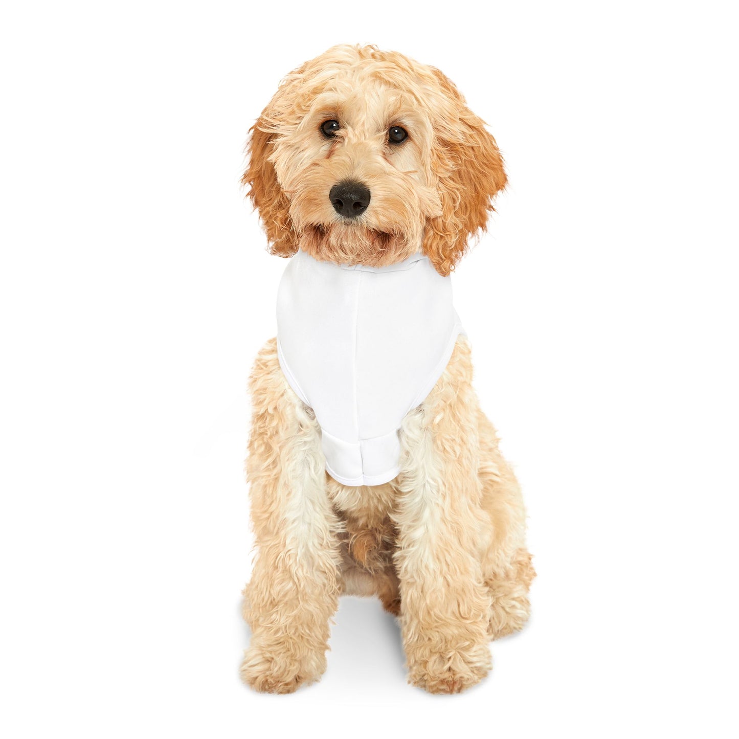 Keep Smiling Puppy Dog Hoodie – Cute and Cozy Dog Apparel