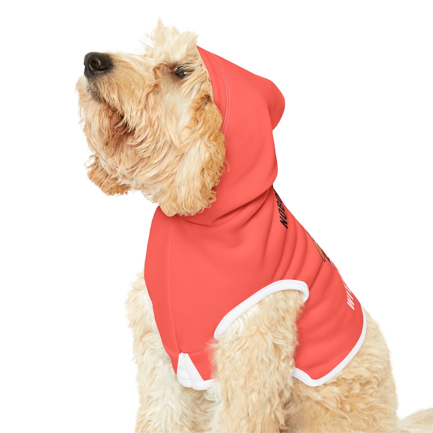 Nobody Messes with My Puppy Hoodie – Funny and Protective Dog Apparel