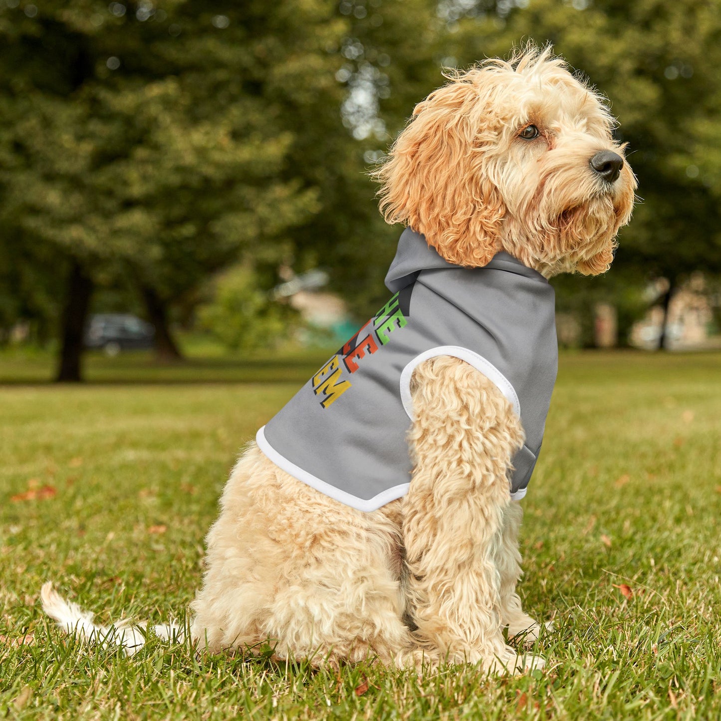 Be the Whole Problem Dog Hoodie – Funny and Bold Pet Apparel"