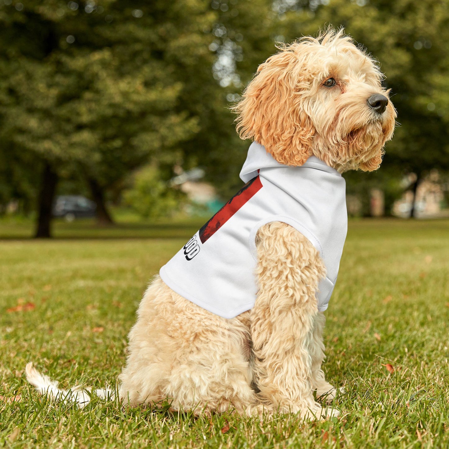 Who’s a Good Boy Dog Hoodie – Funny and Cozy Pet Apparel